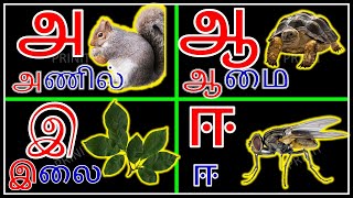 Uyir Ezhuthukal Learn Tamil Alphabets உயர எழததககளPrinit
