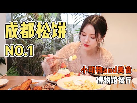 【大胃王余多多】成都小動物博物館美食餐廳！鬆餅軟嫩輕柔，深得我心！| MUKBANG Competitive Eater Challenge Eating Show 大食い