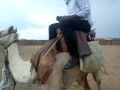 اولاد اصول السدارنه اولاد اصول السدارنه