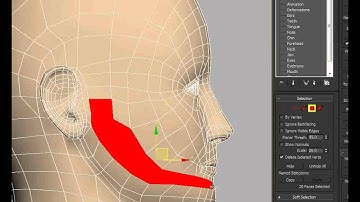 Changing the geometry of a Facial Studio head in 3ds max