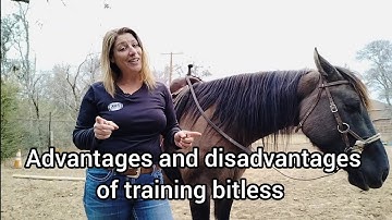 Bitless - Advantages and Disadvantages of training a horse in a bitless bridle - Sidepull