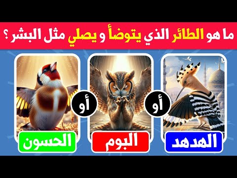أسئلة دينية صعبة مع الحلول ما هو الطائر الذي يتوضأ و يصلي مثل البشر