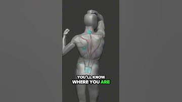Artistic Anatomy Is About Building A Mental Map #ZBrush #artisticanatomy  #anatomy