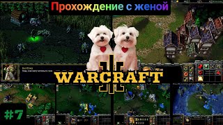 видео: Культ проклятых! Warcraft 3: The Reign of Chaos. картинка: Культ проклятых! Warcraft 3: The Reign of Chaos.