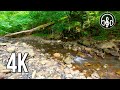 White noise for sleeping - River sounds without birdsong. 12 hours of 4K video.