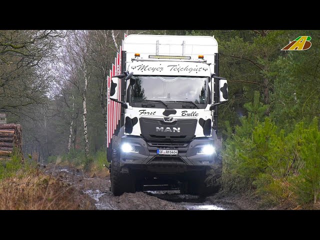 Großaktion Hackschnitzel Produktion Teil 1 Holzverladung im Wald - Holztransport mit Spezialfahrzeug