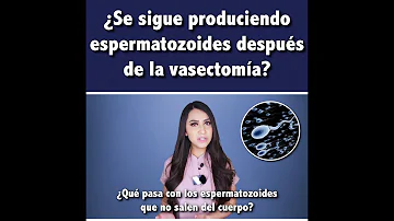 ¿Cuánto tiempo después de la castración desaparece el esperma en los perros?