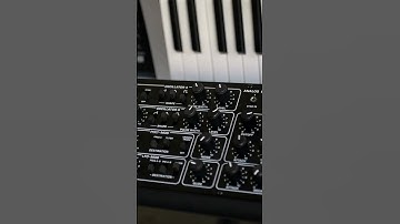 Behringer Pro-800 – Bright Arp Sound Demo #shorts