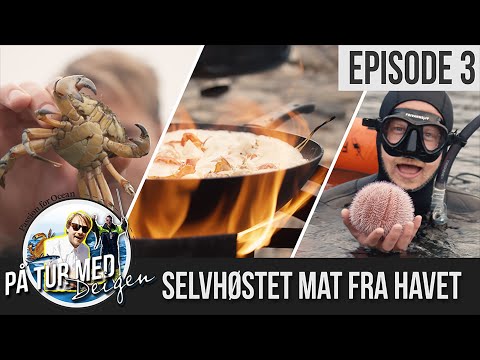 Video: Hva er kvalitetskontroll i driftsledelse?