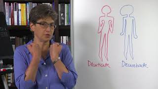 Famous 18.3 Postural Control Profile
