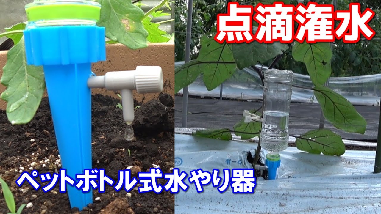 ペットボトル式水やり器で点滴潅水 Plastic Bottle Drip Watering System Youtube