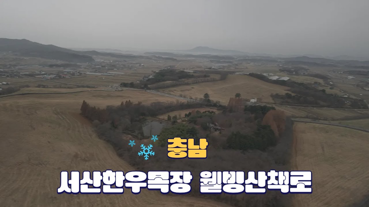 [4K] Seosan Hanwoo Ranch Well being Trail 서산한우목장 웰빙산책로 - YouTube