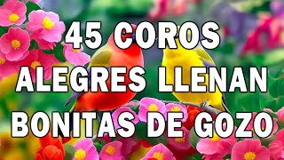 Coros Viejitos Pero Bonitos ✝️ Coros Pentecostales 🎧 100 Minutos De Coritos Pentecostales by Coros Pentecostales 23,870 views 2 weeks ago 1 hour, 42 minutes