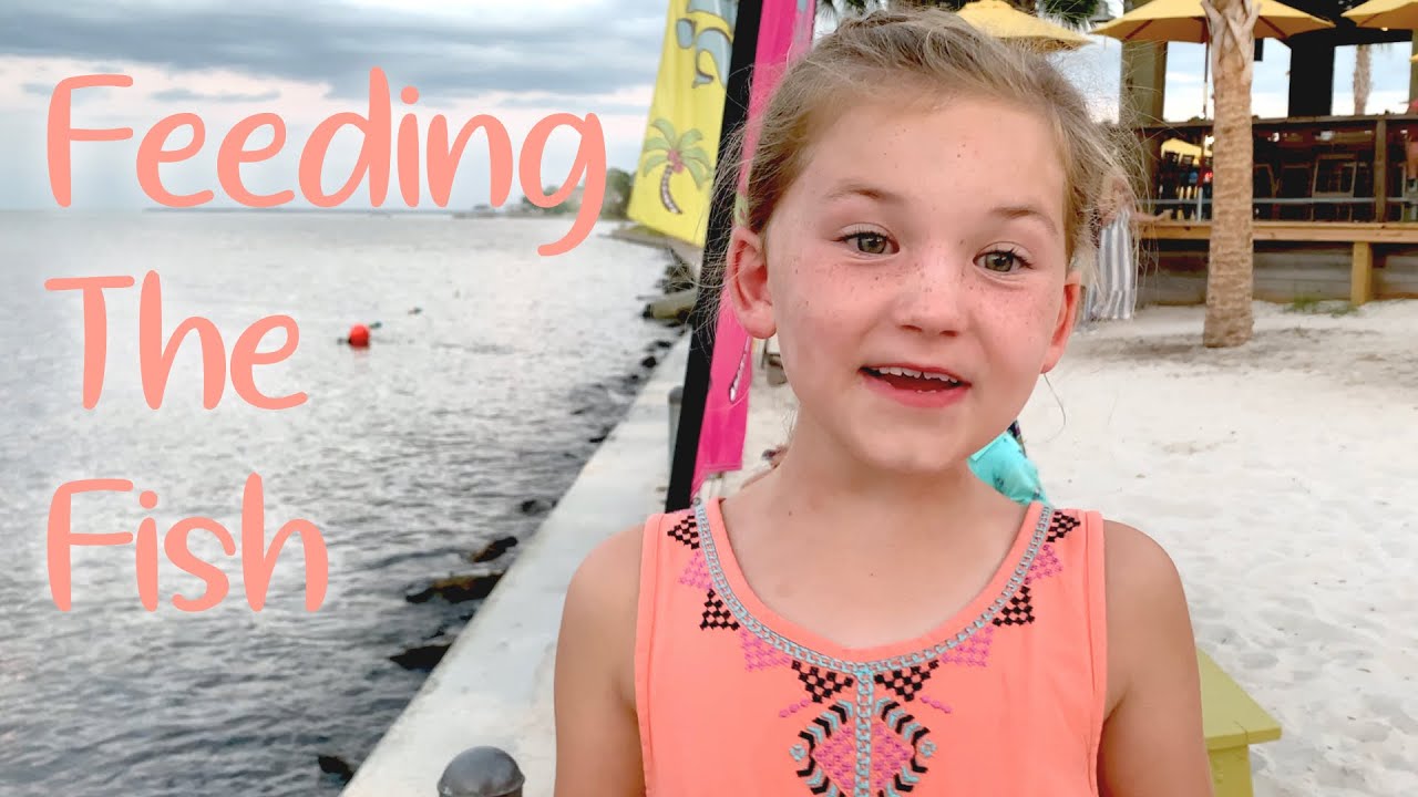 Feeding the fish with Emmalyn Haun Bros YouTube