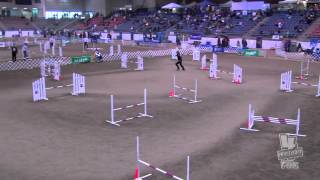 AKC National Championship 2012 Kai Jumpers 20 inch
