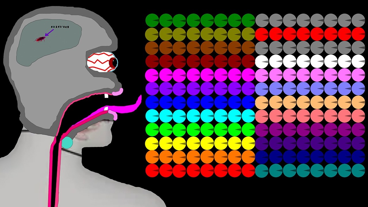 The Crazy Man 31 Legs Eliminations Marble Race in Algodoo