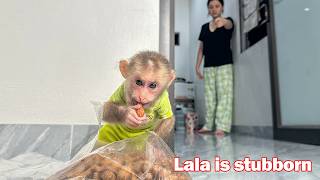 Lala Secretly Hides From Mom To Get Snacks To Enjoy Making Mom Angry