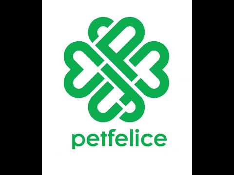 【 petfelice 】2022年9月！！さいたま市に総合ペットショップがOPENします！