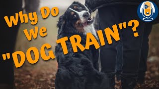 Why It Hurts Me When I Say "Dog Training" #28