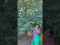 माहेरची चिंच आणि बालपणीच्या गोड आठवणी!#shortsvideo #fypp #trendingshorts #villagelife #share#farm