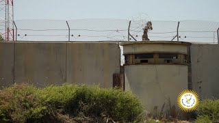 تشق طريق الصعاب وترافق المزارع حتى التسويق.. الاغاثة الزراعية حكاية وطنية