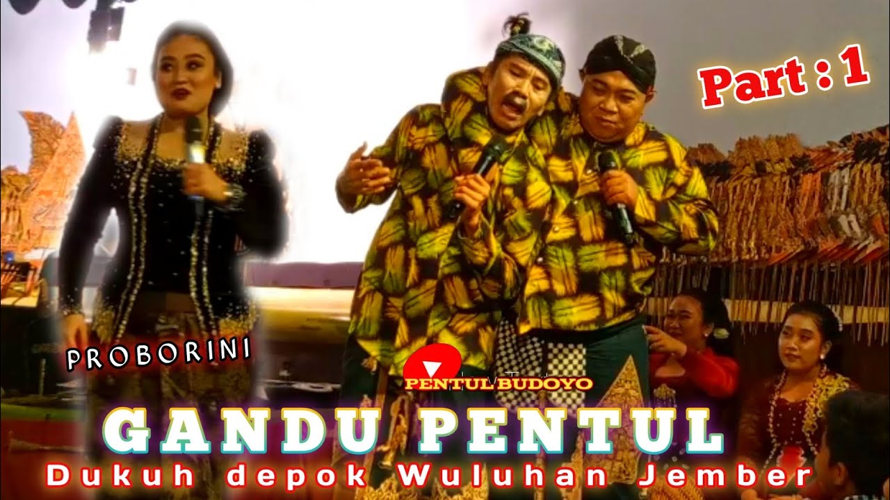 GANDU PENTUL FAET PROBORINI // DUKUH DEMPOK-WULUHAN-JEMBER