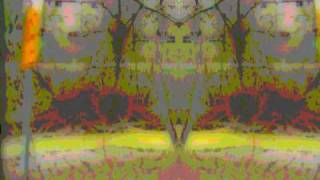 Lucid Alchemy