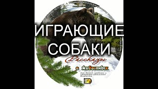 Детский рассказ о животных "ИГРАЮЩИЕ СОБАКИ" МСЦ ЕХБ (Благотворительный фонд "Дом Тепла") Детский рассказ о животных "ИГРАЮЩИЕ СОБАКИ" МСЦ ЕХБ (Благотворительный фонд "Дом Тепла")
