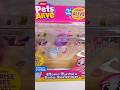 ZURU PETS ALIVE MAMA TURTLE #shorts #zuru #zuruturtle #shortstoys #unboxingtoys