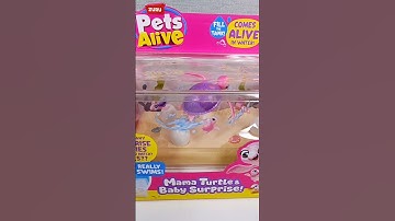 ZURU PETS ALIVE MAMA TURTLE #shorts #zuru #zuruturtle #shortstoys #unboxingtoys