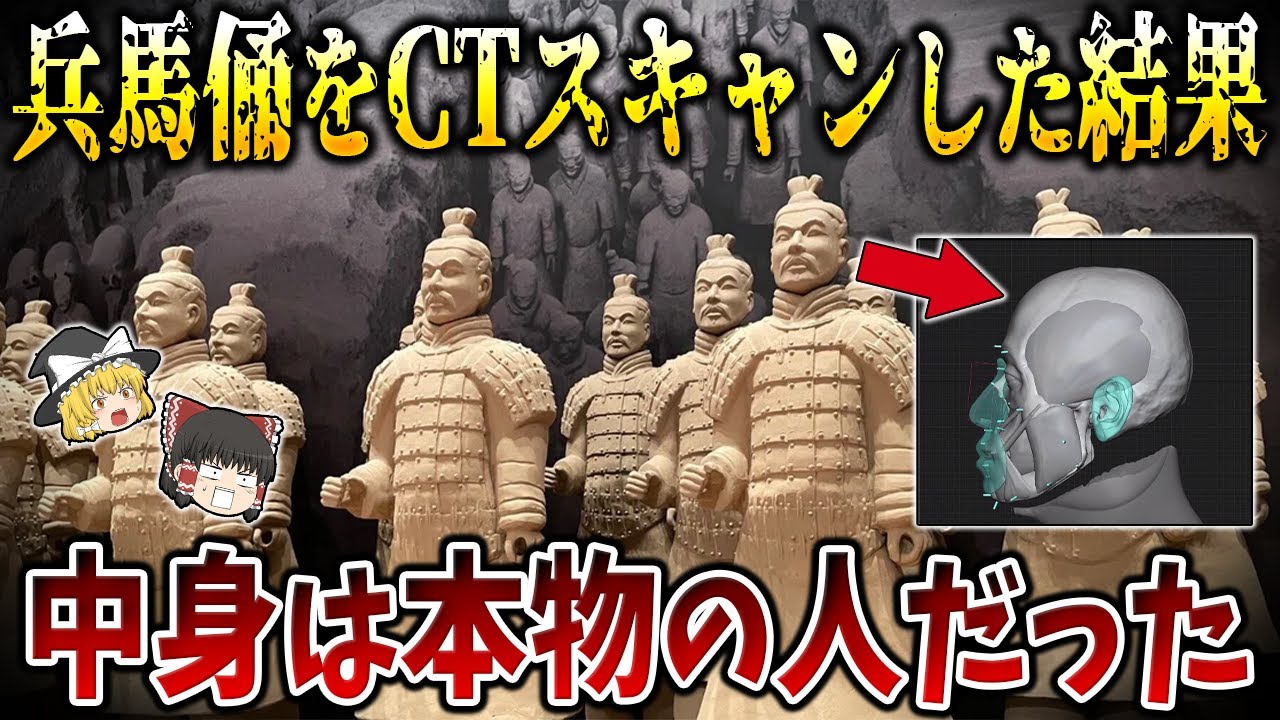 【ゆっくり解説】兵馬俑は本物の人だった！？最新研究で判明した古代中国の謎がヤバすぎる