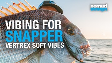 Snapper on Vertrex soft vibes