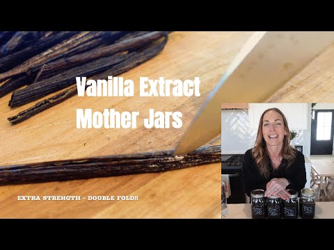 Vanilla Extract Mother