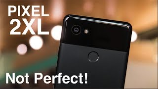 5 BIGGEST Problems With The Pixel 2 XL!