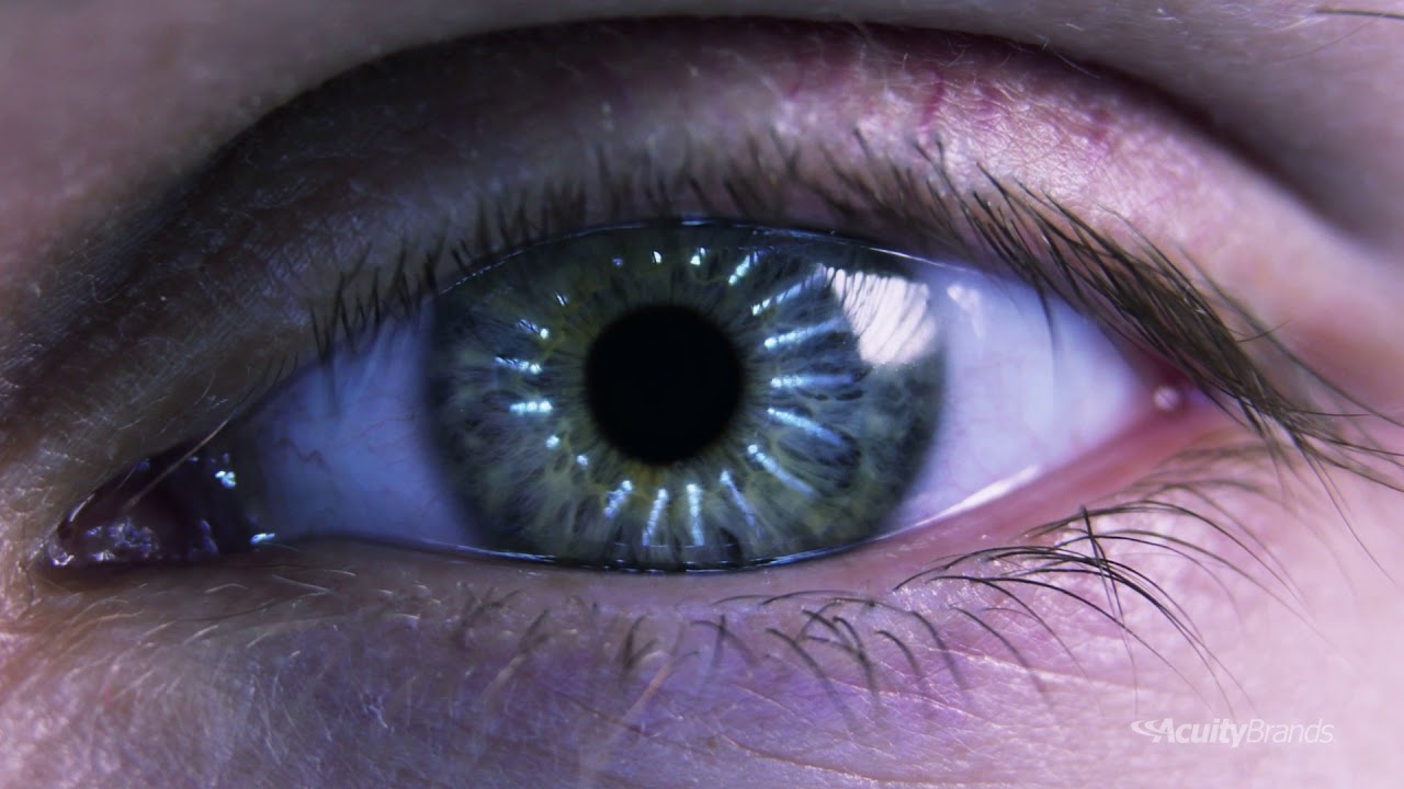 D-Series VC Area Lighting