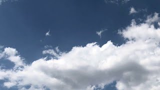 Tut Elimden Gidelim🤝