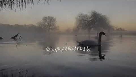 ما تيسر من سورة الأنبياء اسلام صبحي 🥺