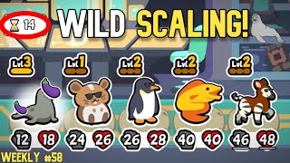 ELEPHANT SEAL IS INSANE In Super Auto Pets! screenshot 5