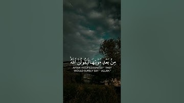 سورة العنكبوت | القارئ : #عبدالرحمن_مسعد #quran #راحة_نفسية #viral #foryou #اجر_لي_ولكم🤎.