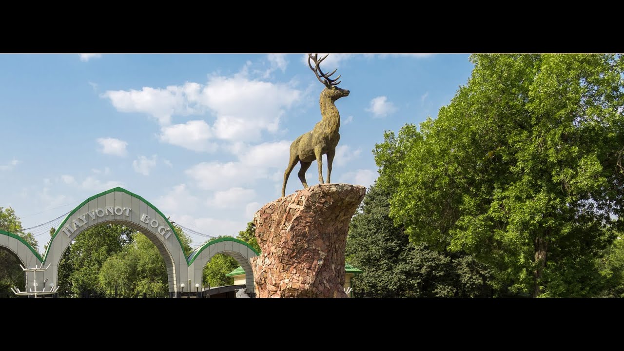 Ташкентский зоопарк