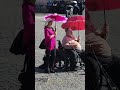 ローマ来ました。これは市内中心のポポロ広場。ローマは町の雰囲気が大変良く、今のところ毎日雲ひとつない快晴続きです。ローマでは邪悪なものは一通り駆逐されたんじゃないかな、という感じがあります。