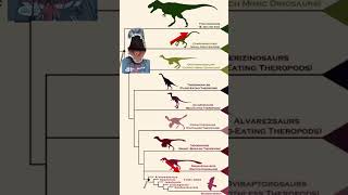 Did Chickens Evolve from T. Rex?