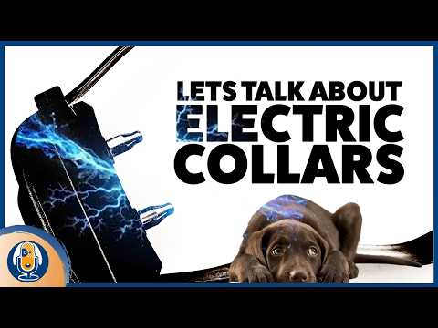 Let’s Talk About E-Collars: Why Dog Trainers Are So Divided #304 #podcast