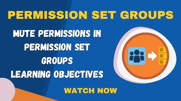 Salesforce Trailhead - Mute Permissions in Permission Set Groups