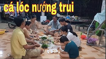 Cạn Lời Thiệt Luôn Lên Sa Đéc Mua 2 Con Cá Lóc Về Nướng Trui Cuốn Bánh Tráng # SĂN BẮT ĐỒNG THÁP #