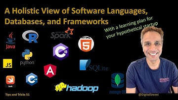 A Holistic View of Software Languages, Databases, and Frameworks