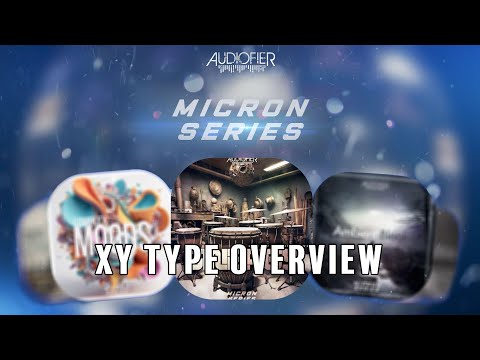 AUDIOFIER - MICRON SERIES -  XY Type : Relaxed Overview