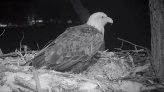 Decorah Eagles 2-22-19, 10:32 pm, Mom lays first egg