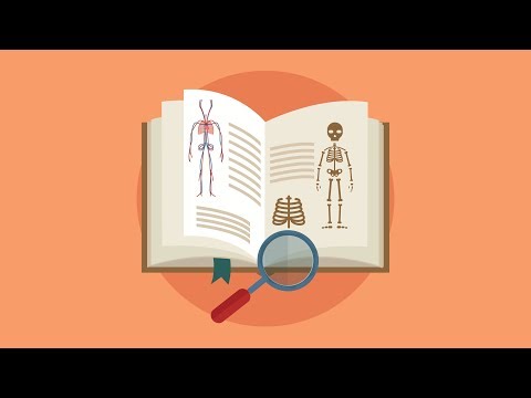 How to Remember Anatomy for a Lifetime! (+200 Tips & Mnemonics)