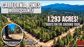 Walking 1.293 Acres in California Pines: Modoc County Land Tour